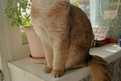 7z4YHlTE_kZZG7O1Md50lIavJvqsrUKJ0rSVpnkNDz8RLmfVKlbdMg15pwN6eQmhAGEcCxkeedcTBDCNRLbQPCkB