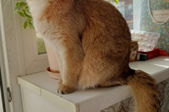 V7U8E4XodTbGsu5h4XnBvgWT-fc8eFfLJwOAdokSfHvW4lUGmtAuPiIbeCfuWOpWna6PQyuFRiVJ-euhj4MDzC4y