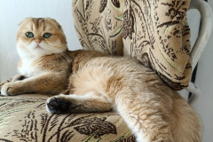 g57VXeV1FBmMvbSLgcj5QrRKgVP610mDAL7kn8VeMHHes8z4bL7jViuLEAm3mAIhbrkUMh3eyvMT6nCdGNEhURBz