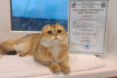 tdHiJgF8ugC2M0s_cRt3Td7NLNMaYR8erMJAfz5SBtyfkMEWNhURe80ToM4k9EdTRz6wA2dMm9Vk_0H7lpm8FR5B