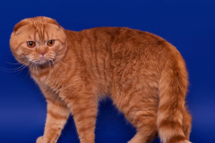 IMG_20230305_221807_419