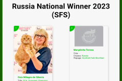 RemasterDirector_18da6b0cf