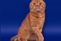 Screenshot_20230503_131220_Gallery