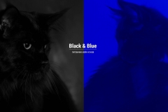 Black & Blue