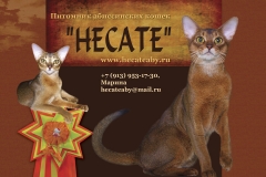 Hecate - питомник Абиссинских кошек (Новосибирск)
