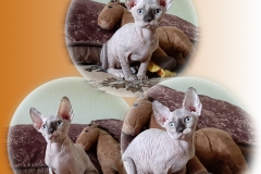 IMG_20190516_113322_