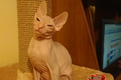 my_LAkUgceY