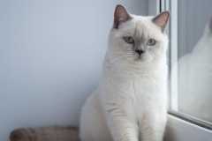 WhatsApp Image 2022-04-25 at 22.37.20