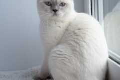 WhatsApp Image 2022-04-25 at 22.37.21 (1)