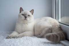 WhatsApp Image 2022-04-25 at 22.37.21