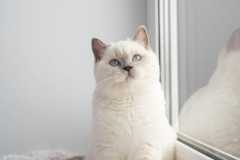 WhatsApp Image 2022-04-25 at 22.37.22