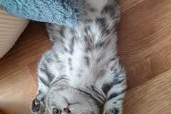 IMG-20240410-WA0007