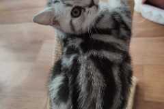 IMG-20240606-WA0004
