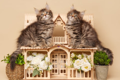 image-16-09-25-01-12-9
