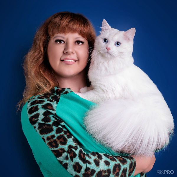 Siberian cat - IZ LUKOMORIAY - BELOYAR IZ LUKOMORIAY
