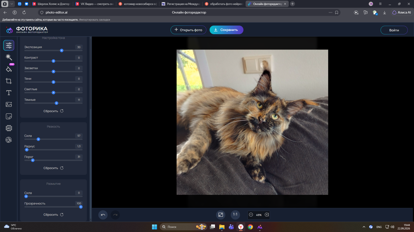 Maine Coon - Lennisen - Sandra Lennisen