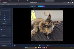 Maine Coon - Lennisen - Sandra Lennisen