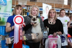Сибириада 2017 - Best in Show