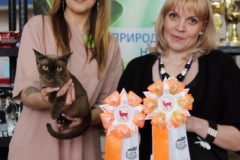 Сибириада 2017 - Шоу азиатских пород