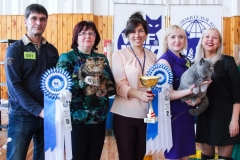 Сибириада 2017 - Best in Show