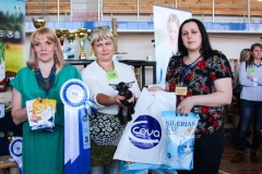 Сибириада 2017 - Best in Show