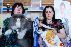 Сибириада 2017 - Best in Show