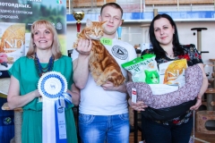 Сибириада 2017 - Best in Show