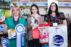 Сибириада 2017 - Best in Show