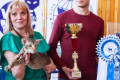 Сибириада 2017 - Best in Show