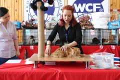 IMG_0294
