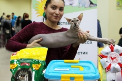 Peterbald - Country Desiree - Florenc Country Desiree (IMG_6577)