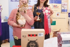 GZ1A7122