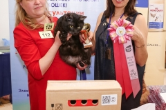 GZ1A7130