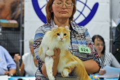 DSC_8128