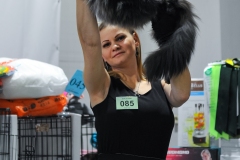 DSC_7539