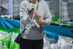 DSC_7327