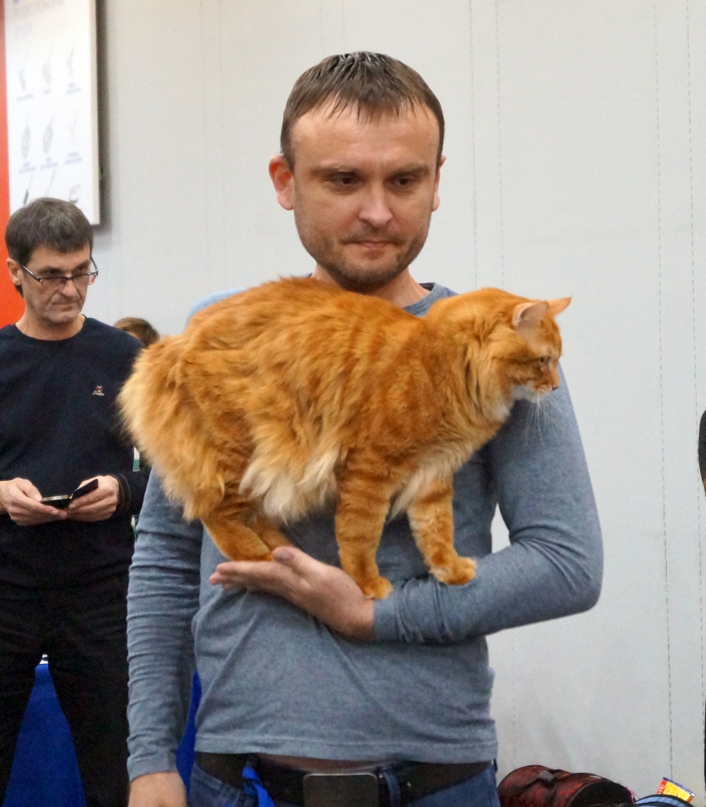 DSC04650