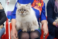 DSC00906