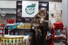 DSC01059