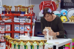 DSC01243