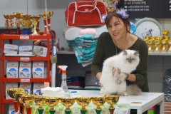 DSC01387