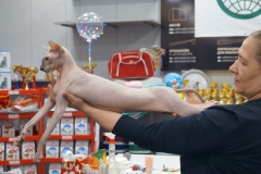 DSC02174
