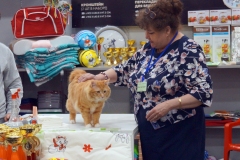 DSC02531