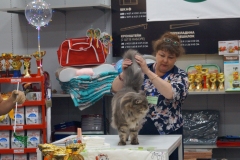 DSC02591