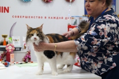 DSC02676