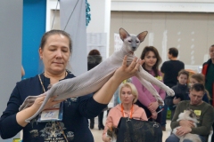 DSC03139