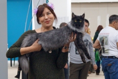 DSC03770