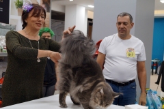 DSC03795