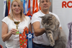 DSC03955