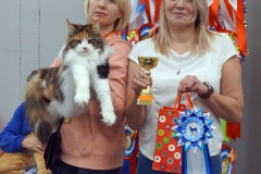 DSC03966